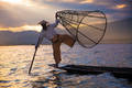 Balancing Act print