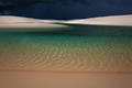 Delicate Shore print