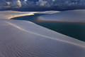 Metallic Dunes print