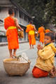 Morning Alms print