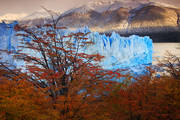 Autumn Among the Glaciers
