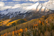 Autumn's Crest