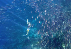 Immersion