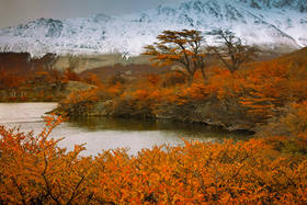 Season's Change