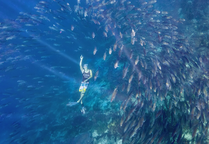 &nbsp;My friend&nbsp;Andreas Kotzke swimming through a huge fish ball off the coast of Kri Island in Raja Ampat, Indonesia.