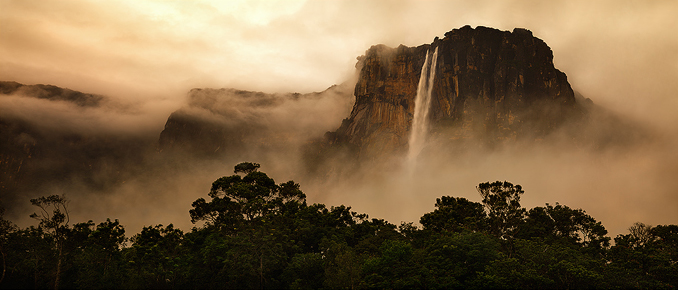 Where the Dark River Rises Angel Falls, the highest waterfall in the world, thunders 3,000 feet down into the heart of the Rainforest.