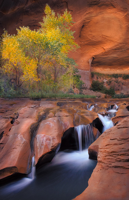 There are endless secrets hidden in the labyrinth of canyons that make up the remote Escalante area of Utah. When you start hiking...