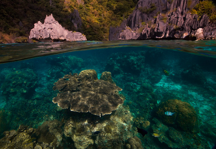 The underwater world is illuminated&nbsp;beneath this&nbsp;calm lagoon bathed in afternoon light.&nbsp; El Nido and Bacuit Bay...