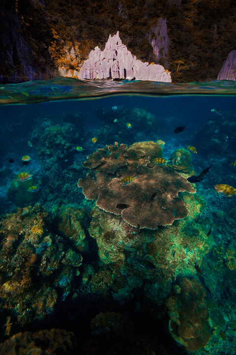 Lagoon Life Underwater paradise. Late afternoon in Cadlao Lagoon, Palawan Island, Philippines.