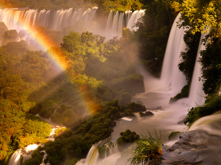 Rainbows dance through the misty falls&nbsp;of the Atlantic&nbsp;rainforest.