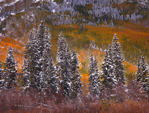 A Lasting Impression The first snow of the season arrives early, blanketing the autumn foliage in a spectacular contrast of the seasons.