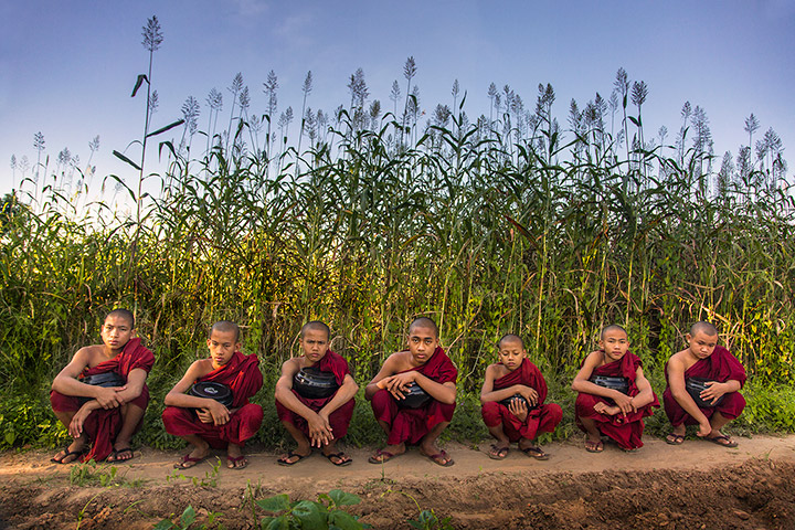 Taking a break from the searing afternoon heat of the plains of Burma.