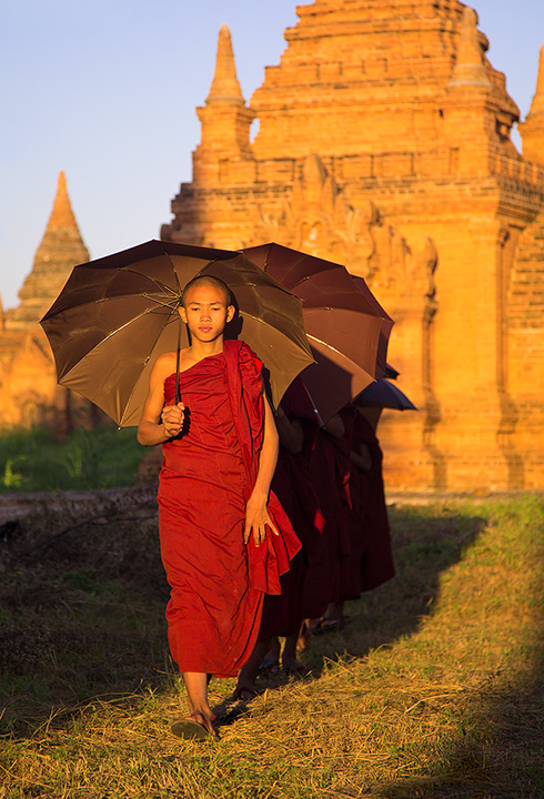 Late Afternoon Walk The heat of the day subsides and these young monks make their way back to the monastery from a remote temple in the countryside...