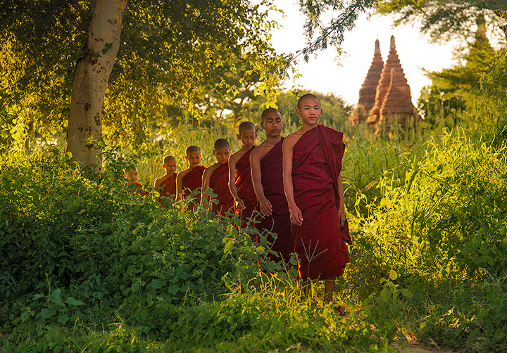The Forest Path Late afternoon in the fields of Bagan, Burma.