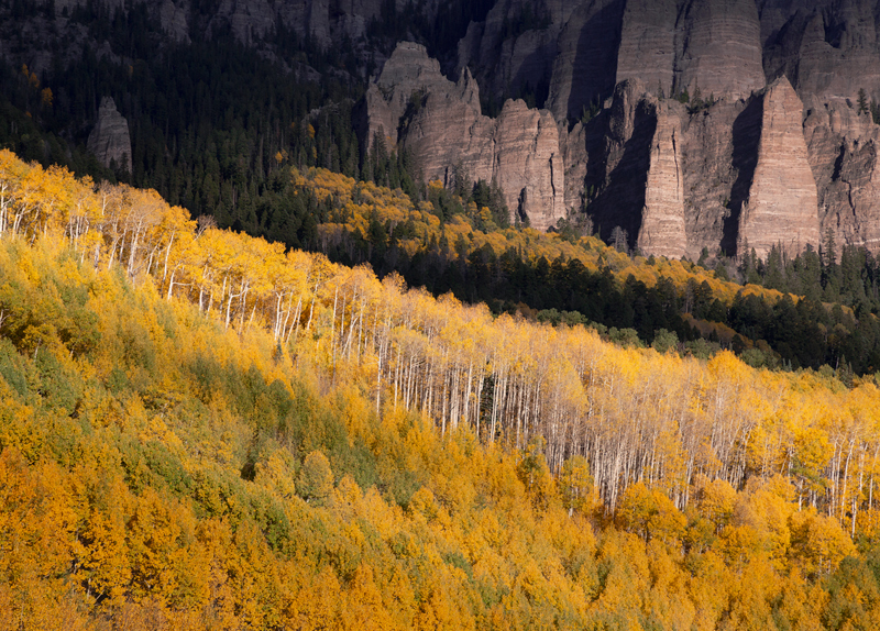 Spectacular fall light plays across the layered aspens and cliffs of the Uncompaghre backcountry and Cimarron Range.