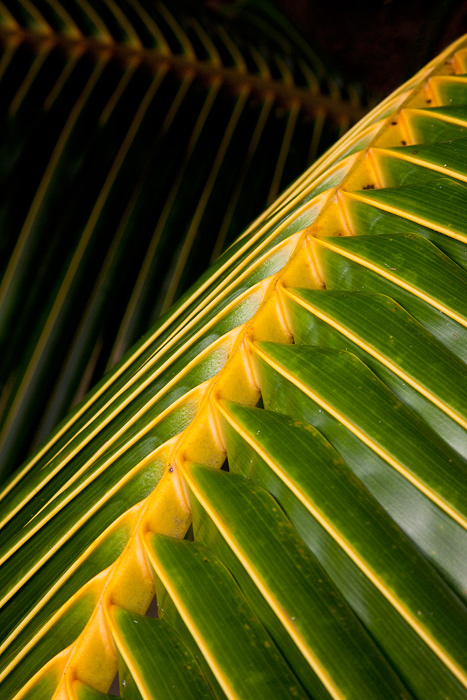 The intimate side of Aitutaki