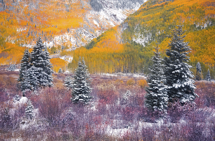 Pastel Pastures A delicate early snow fall accents the pastel colors of autumn.