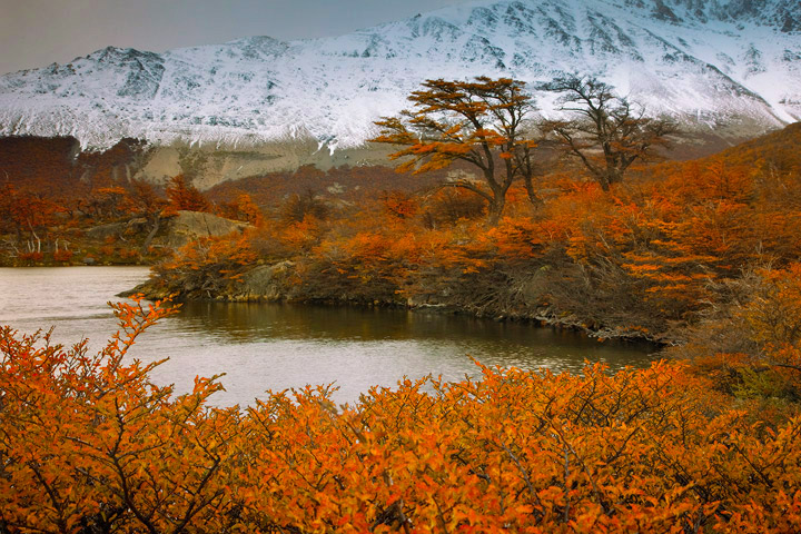 The spectacular fall colors of Patagonia. The change of season brings cooler drier air, the winds die down and fresh snow begins...