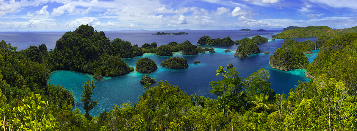 A panorama of Fam Island area near Pianemo homestay. West Papua, Indonesia.&nbsp; Incredible diving and snorkeling awaits the...