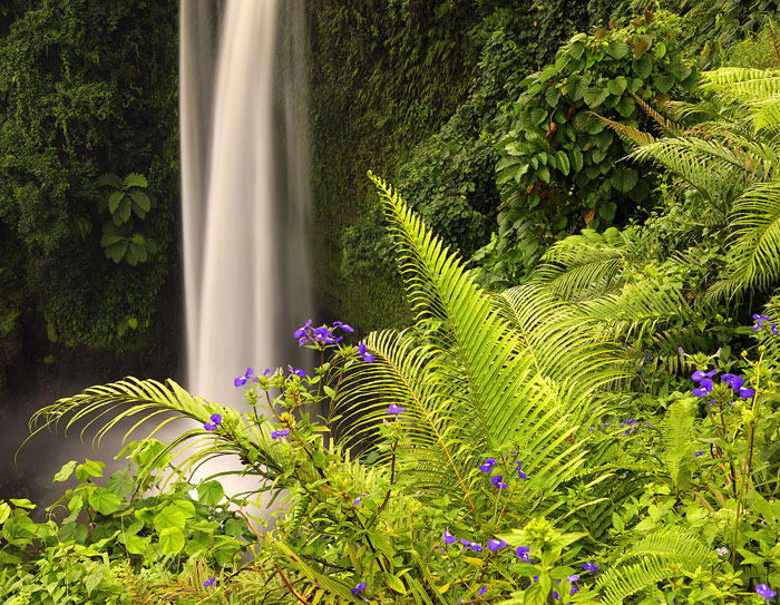 A beautiful waterfall in the highlands of Upolu island.&nbsp; This waterfall was featured in the Survivor-Samoa TV show.