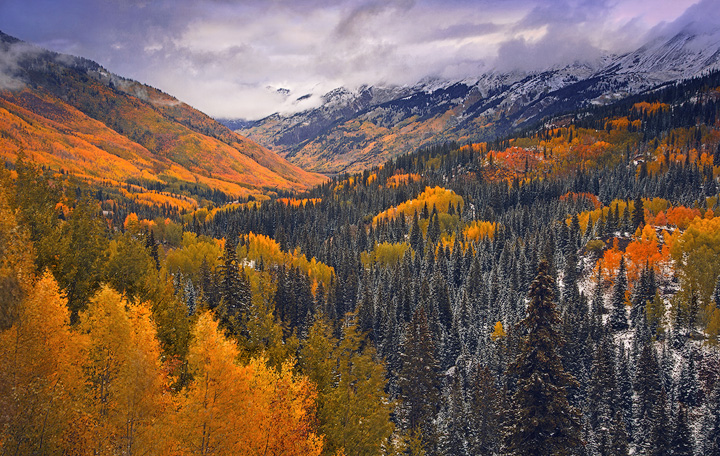 Clash of the Seasons Fresh snowfall at the peak of fall color is a somewhat rare occurance in Colorado, but when autumn clashes with the onset of...