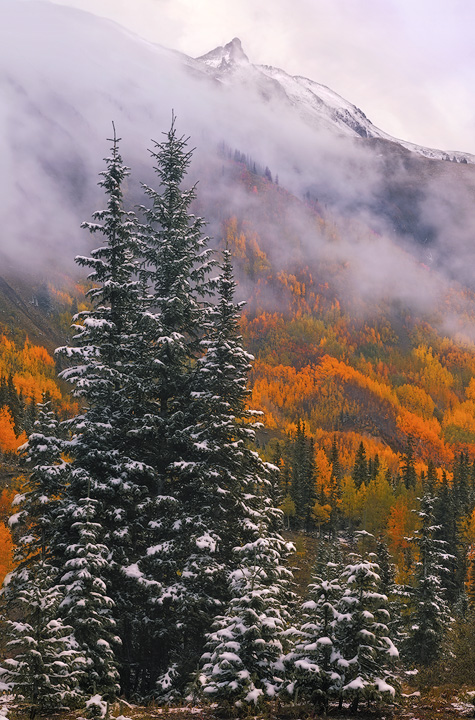 September Storm An early September snow storm clears to reveal newly snow capped peaks towering over the aspen forest. 