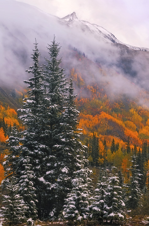 &nbsp;An early September snow storm clears to reveal newly snow capped peaks towering over the aspen forest.&nbsp;