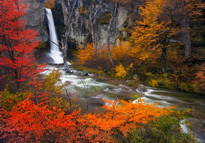 The autumn colors of Patagonia are beyond compare.&nbsp; I've never seen such vibrant reds, yellows and oranges. Often times...