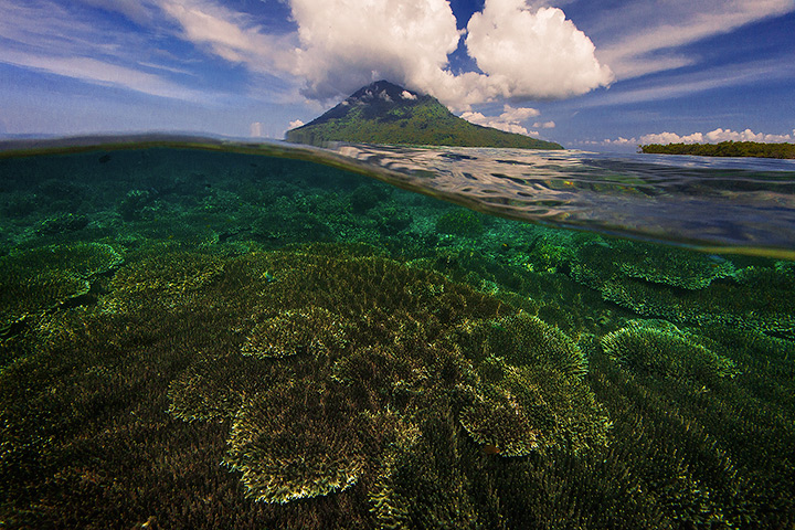 A view of the stunning underwater world surrounding Bunaken Island, Indonesia.