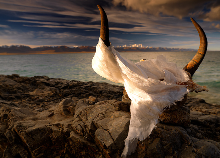 Nam Tso Sunrise A Yak skull draped with a ceremonial 'kata' flutters softly in the breeze as sunrise illuminates Nam Tso Lake, 16...